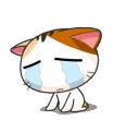 Flanny2sosad2
