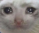 WHY Discord emoji