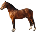 beep Discord emoji