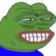 pepeLaughing2 pepeLaughing2