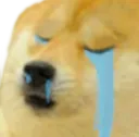 uuu