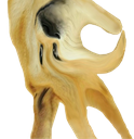 dogeokhand