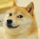 smiledoge