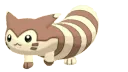Furret_walk