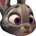 JudyOh