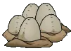 eggs