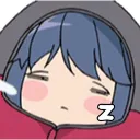 RinSleep