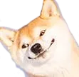 shibameme