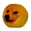 annoyingdoge