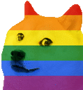 rainbowdoge