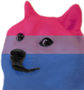 bidoge