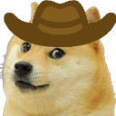 dogeyeehaw