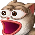 ooo