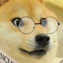 smartdoge