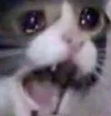 screech