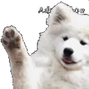 ruow_hi