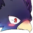 TokoBlush