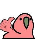 thumbsupparrot