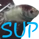 sup