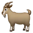 Goat