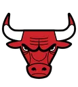 bulls