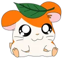 HamSmug
