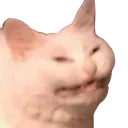 eughcatto
