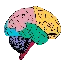 _brain