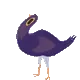 trashdove