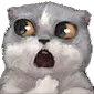 CatTOS Discord Emoji