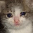 the_big_sad