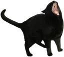 AAAAAAAAAAAAAAAAAA