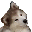 cutethink Discord emoji