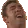 gachiGASM3D