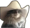 meowdy