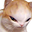 catdanY