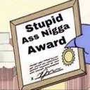 stupidnigga