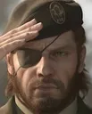 salute salute