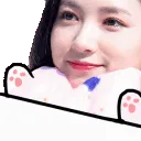 ajiwoncat ajiwoncat