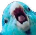 ReeeBirb