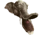 Platybelodont
