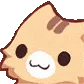 kittypat