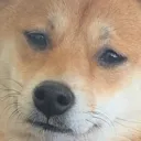 sadboi