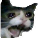 sadwhycat Discord emoji