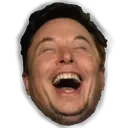 elonlmao elonlmao