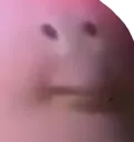 korbi