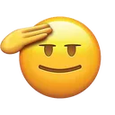 salute salute