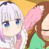 KannaPet KannaPet