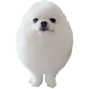 ED_eggdogfluf ED_eggdogfluf