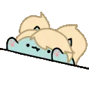 PoppyBongo PoppyBongo